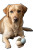 Easter Labrador Vinyl Car Decal Sticker – Waterproof & UV-Resistant 8"