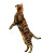 Jumping Tabby Cat Vinyl Car Decal Sticker – Waterproof & UV-Resistant 8"