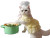 Cooking Kitten Chef Vinyl Car Decal Sticker – Waterproof & UV-Resistant 8"