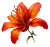Orange-Red Lily Vinyl Car Decal Sticker – Waterproof & UV-Resistant 8"