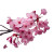 Cherry Blossom V4 Vinyl Car Decal Sticker – Waterproof & UV-Resistant 8"