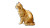 Orange Tabby Cat V3 Vinyl Car Decal Sticker – Waterproof & UV-Resistant 8"