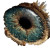 Quantum Eye Portal V3 Vinyl Car Decal Sticker – Waterproof & UV-Resistant 8"