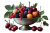 Summer Fruits Bowl Vinyl Car Decal Sticker – Waterproof & UV-Resistant 8"