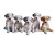 Puppies On Yoga Mats Vinyl Car Decal Sticker – Waterproof & UV-Resistant 8"
