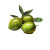 Green Olives Display Vinyl Car Decal Sticker – Waterproof & UV-Resistant 8"