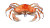 Japanese Blue Dish Crab Vinyl Car Decal Sticker – Waterproof & UV-Resistant 8"
