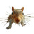 Running Squirrel Close-Up Vinyl Car Decal Sticker – Waterproof & UV-Resistant 8"