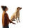 Dog Feeding Chart Vinyl Car Decal Sticker – Waterproof & UV-Resistant 8"