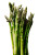 Fresh Asparagus Vinyl Car Decal Sticker – Waterproof & UV-Resistant 8"