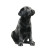 Black Labrador Puppy Vinyl Car Decal Sticker – Waterproof & UV-Resistant 8"