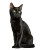 Black Cat Portrait V3 Vinyl Car Decal Sticker – Waterproof & UV-Resistant 8"
