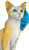Javanese Beach Cat Vinyl Car Decal Sticker – Waterproof & UV-Resistant 8"