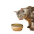 Cat Food Ad Vinyl Car Decal Sticker – Waterproof & UV-Resistant 8"