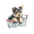 Yorkie Dog Sticker Vinyl Car Decal Sticker – Waterproof & UV-Resistant 8"