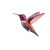 Hummingbird In Flight Vinyl Car Decal Sticker – Waterproof & UV-Resistant 8"