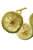 Floating Lemon Slices V3 Vinyl Car Decal Sticker – Waterproof & UV-Resistant 8"