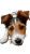 Cute Dog V16 Vinyl Car Decal Sticker – Waterproof & UV-Resistant 8"