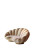Giant Clam Sofa Vinyl Car Decal Sticker – Waterproof & UV-Resistant 8"