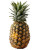Pineapple V2 Vinyl Car Decal Sticker – Waterproof & UV-Resistant 8"