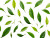Tea Leaves Texture Vinyl Car Decal Sticker – Waterproof & UV-Resistant 8"