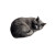 Sleeping Gray Cat V2 Vinyl Car Decal Sticker – Waterproof & UV-Resistant 8"