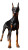 Alert Doberman Pinscher Vinyl Car Decal Sticker – Waterproof & UV-Resistant 8"