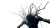 Terrifying Bone Monster Vinyl Car Decal Sticker – Waterproof & UV-Resistant 8"