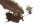 Steampunk Engineer V3 Vinyl Car Decal Sticker – Waterproof & UV-Resistant 8"