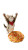 Celebrating Kitten Chef Vinyl Car Decal Sticker – Waterproof & UV-Resistant 8"
