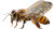 Futuristic Eco Bee Vinyl Car Decal Sticker – Waterproof & UV-Resistant 8"