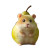 Pear Hamster Vinyl Car Decal Sticker – Waterproof & UV-Resistant 8"