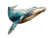 Blue Whale Painting Vinyl Car Decal Sticker – Waterproof & UV-Resistant 8"