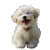 Happy Puppy V2 Vinyl Car Decal Sticker – Waterproof & UV-Resistant 8"