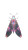 Chrom Butterfly V2 Vinyl Car Decal Sticker – Waterproof & UV-Resistant 8"