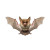 Cute Vampire Bat Vinyl Car Decal Sticker – Waterproof & UV-Resistant 8"