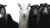 Black Sheep Flock Vinyl Car Decal Sticker – Waterproof & UV-Resistant 8"