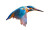 Diving Kingfisher Vinyl Car Decal Sticker – Waterproof & UV-Resistant 8"