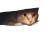 Scared Cat Hiding Vinyl Car Decal Sticker – Waterproof & UV-Resistant 8"