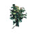 Nettle Tree Vinyl Car Decal Sticker – Waterproof & UV-Resistant 8"