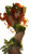 Poison Ivy Femme Vinyl Car Decal Sticker – Waterproof & UV-Resistant 8"
