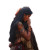 Pocahontas Encounter Vinyl Car Decal Sticker – Waterproof & UV-Resistant 8"