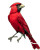 Northern Cardinal V3 Vinyl Car Decal Sticker – Waterproof & UV-Resistant 8"