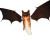 Fiery Winged Cat Vinyl Car Decal Sticker – Waterproof & UV-Resistant 8"