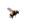 Buzzing Bee Vinyl Car Decal Sticker – Waterproof & UV-Resistant 8"