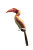 Wildlife Art V2 Vinyl Car Decal Sticker – Waterproof & UV-Resistant 8"