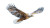 Poly Eagle Flight Vinyl Car Decal Sticker – Waterproof & UV-Resistant 8"