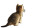 Striped Kitten Reflection Vinyl Car Decal Sticker – Waterproof & UV-Resistant 8"