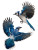 Blue Jays Facing Vinyl Car Decal Sticker – Waterproof & UV-Resistant 8"