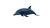 Magnifique Dolphin Vinyl Car Decal Sticker – Waterproof & UV-Resistant 8"